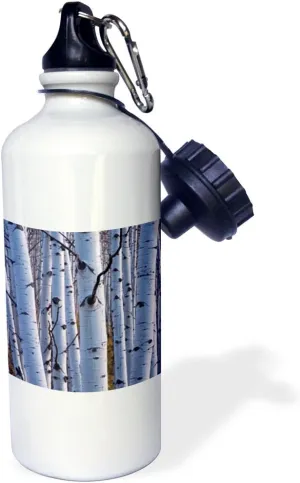 3dRose USA, Colorado. Aspens in Gunnison National Forest. -Sports Water Bottle, 21oz , 21 oz, Multicolor
