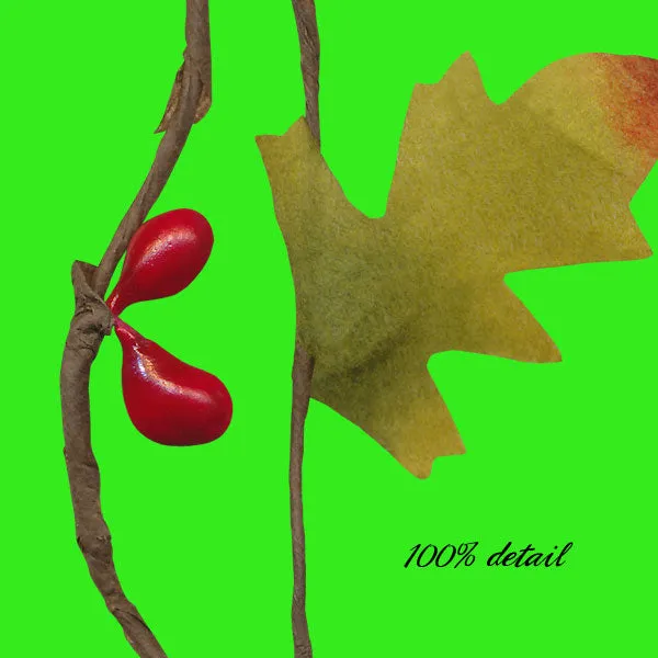 Berry Branches, Volume 08