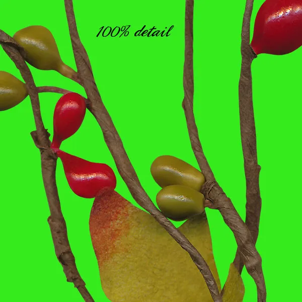 Berry Branches, Volume 08