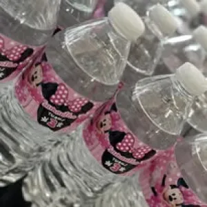 Character Party Favors bundles