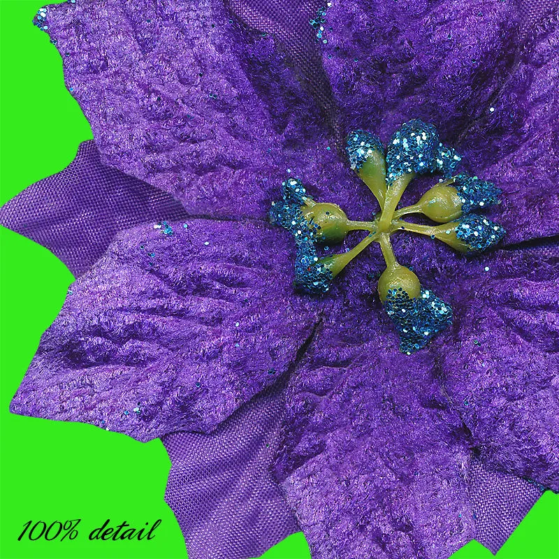 Colorful Poinsettias