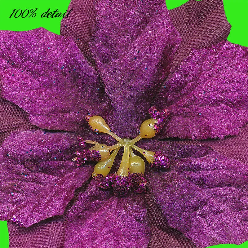 Colorful Poinsettias