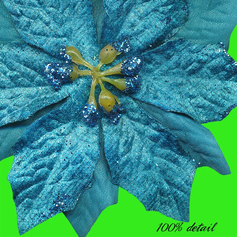 Colorful Poinsettias
