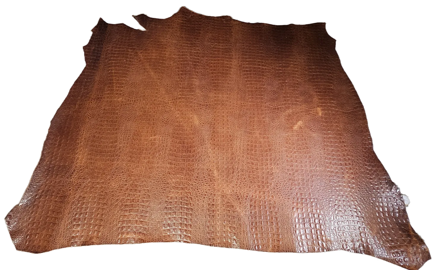 Crocodile  Embossed Veg Tan Leather - Beautiful Brown