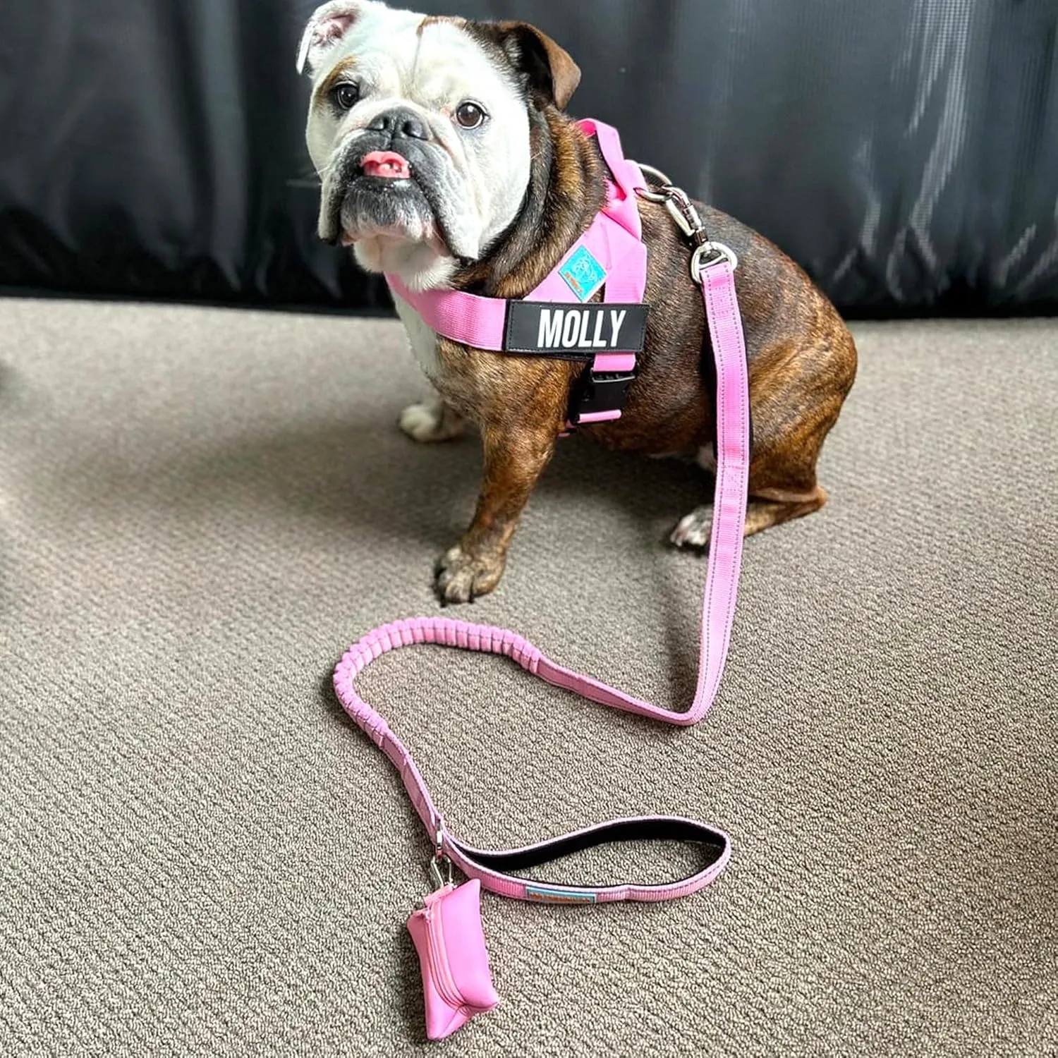 DF Co. Poop Bag Holder | Neoprene Fabric for All Weather Conditions, Stylish Walking Accessory, One Click Clip | Grey Camo