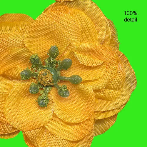 Fall Flowers Sample