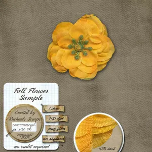 Fall Flowers Sample