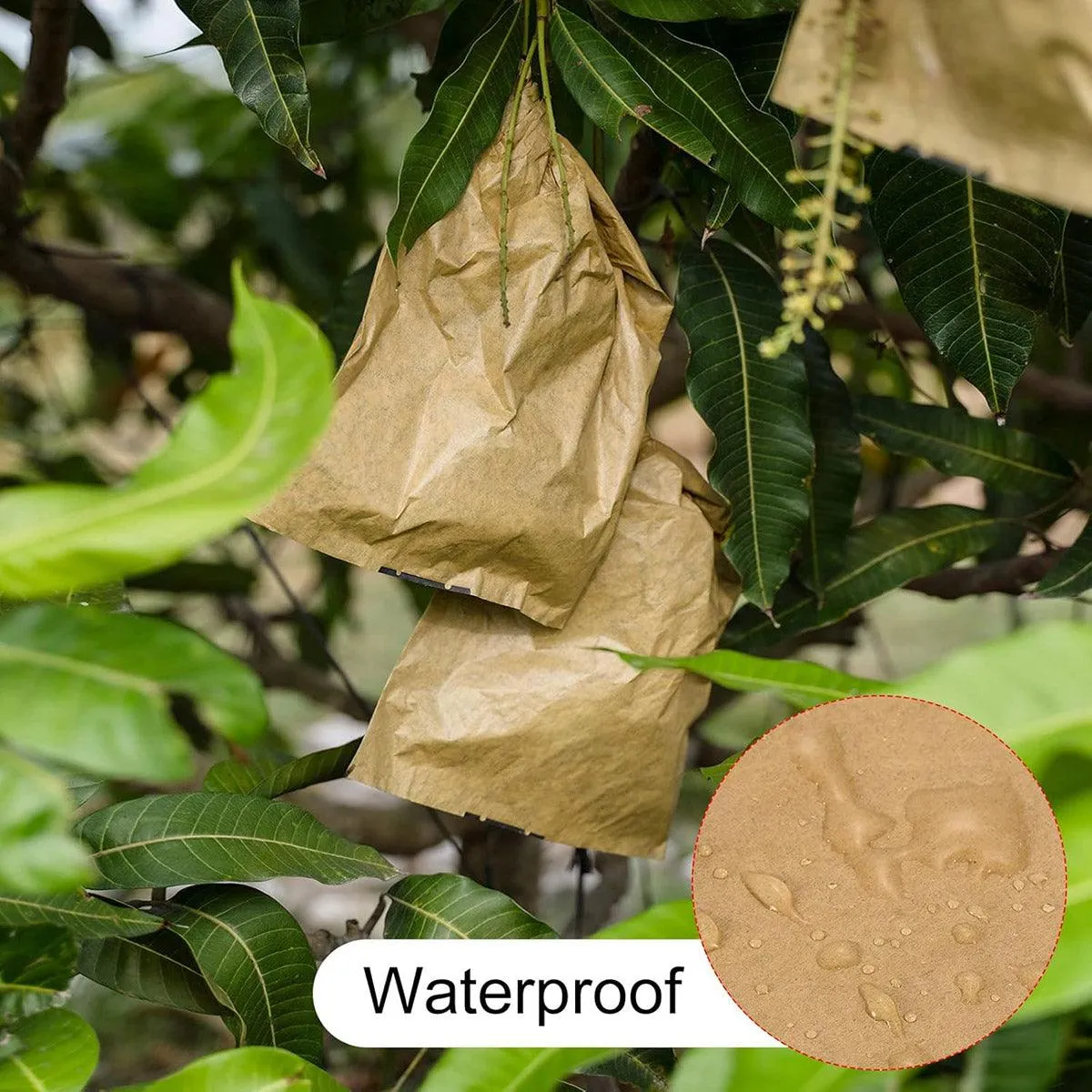 Fruit Bags Protective Paper Bagging 100PCS