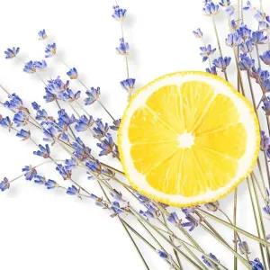 Lemon Lavender Wax Melt Snap Bar, Luxury Simmering Granules and Carpet Freshener, Strong Scented Home Wax