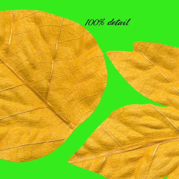 Paper Fall Leaves, Volume 03