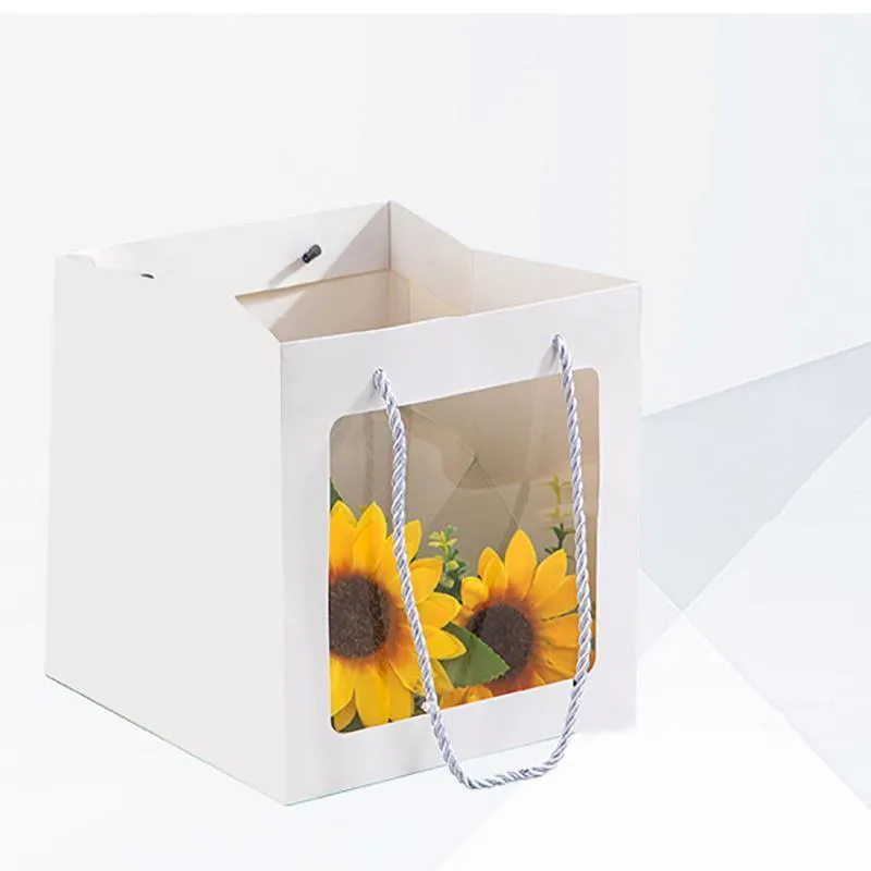 Paper Gift Bags with Clear Window 20PCS 5Sizes White