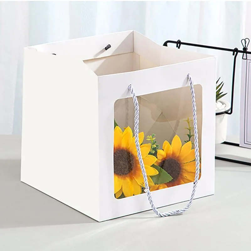 Paper Gift Bags with Clear Window 20PCS 5Sizes White