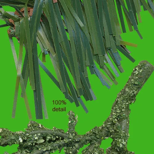 Pine Branches, Volume 01