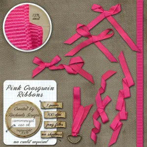 Pink Grosgrain Ribbons, Volume 01