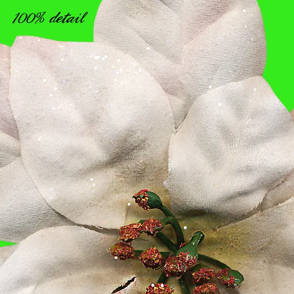 Poinsettias, Volume 04