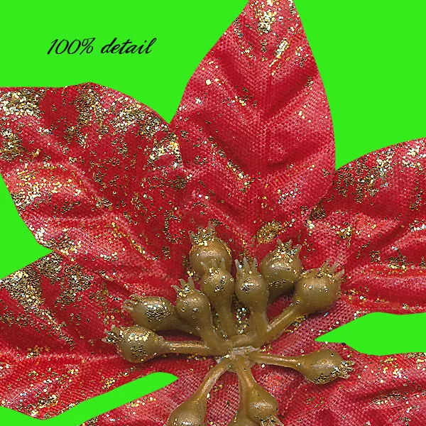 Poinsettias, Volume 04