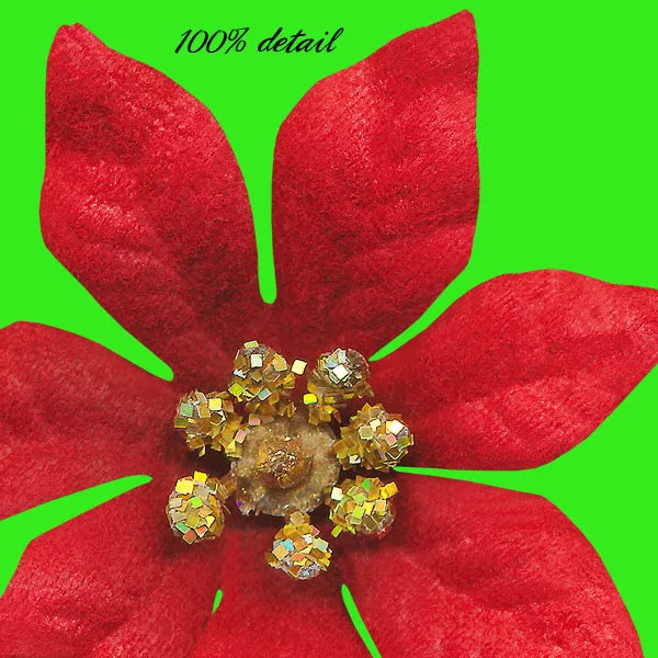 Poinsettias, Volume 04
