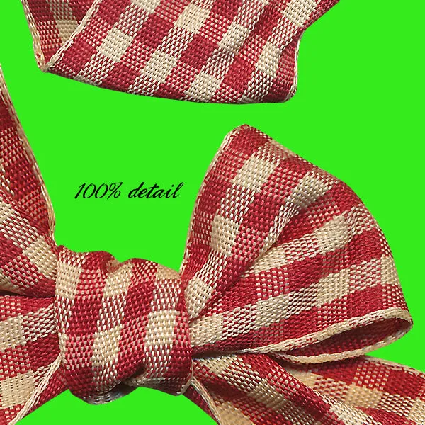 Red Gingham Ribbons, Volume 02