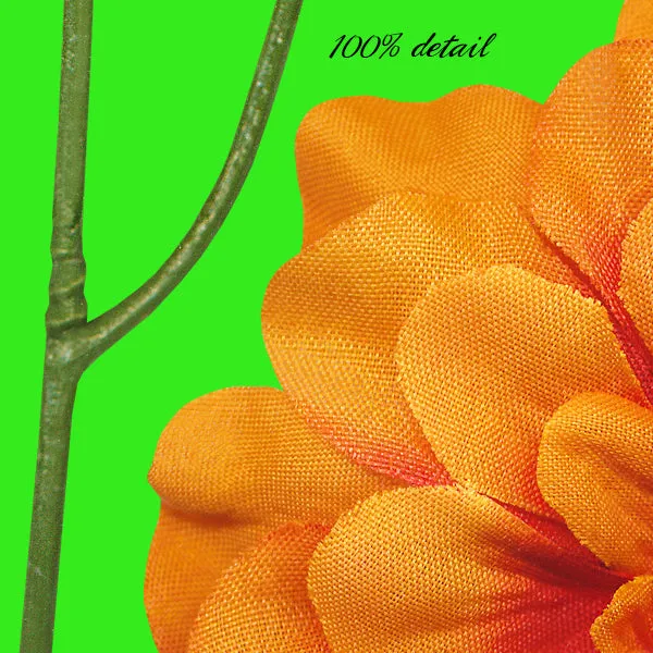 Reopening Designer Mix