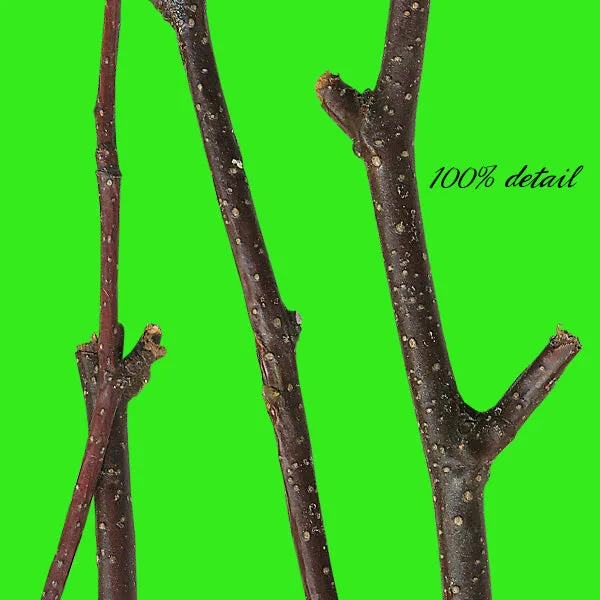 Sticks Set