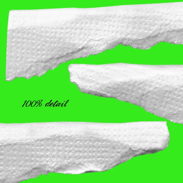 Torn & Curled Paper Edges