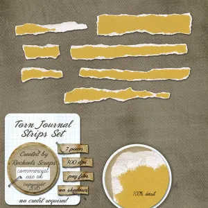 Torn Journal Strips Set