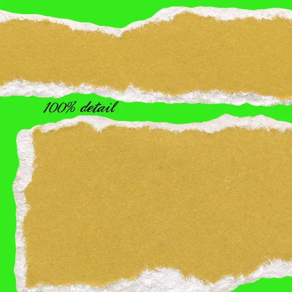 Torn Journal Strips Set