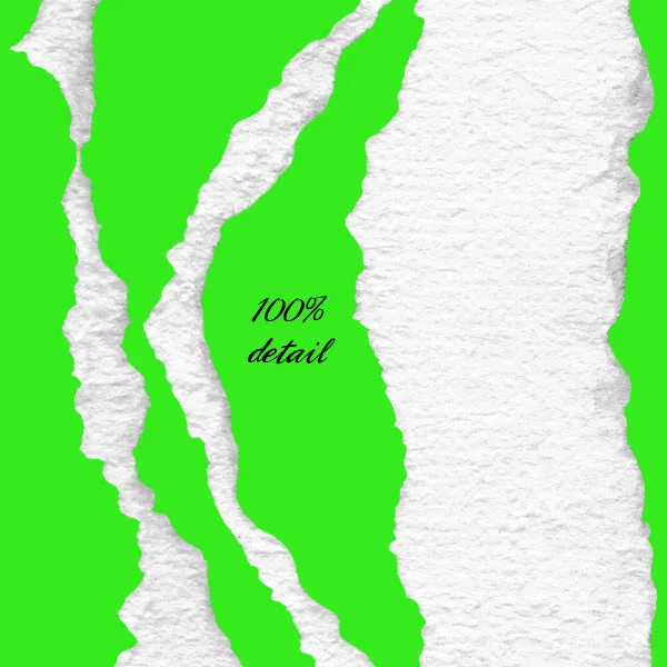 Torn Paper Edges
