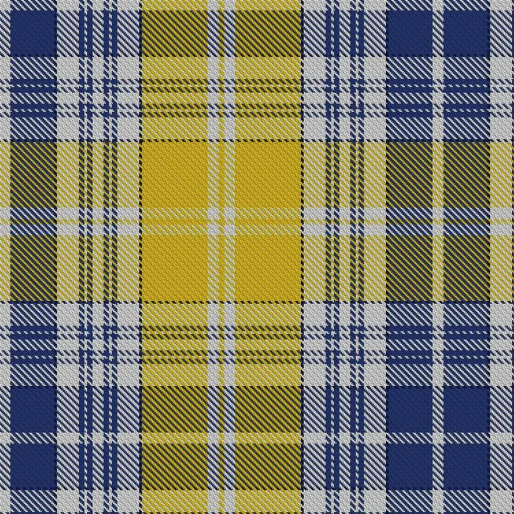 Ukraine Tartan