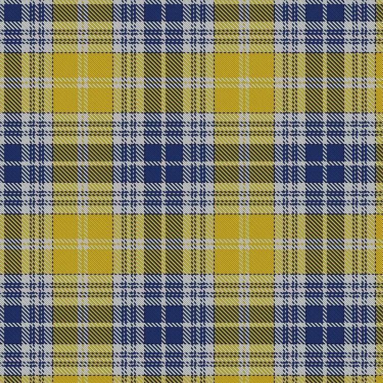 Ukraine Tartan
