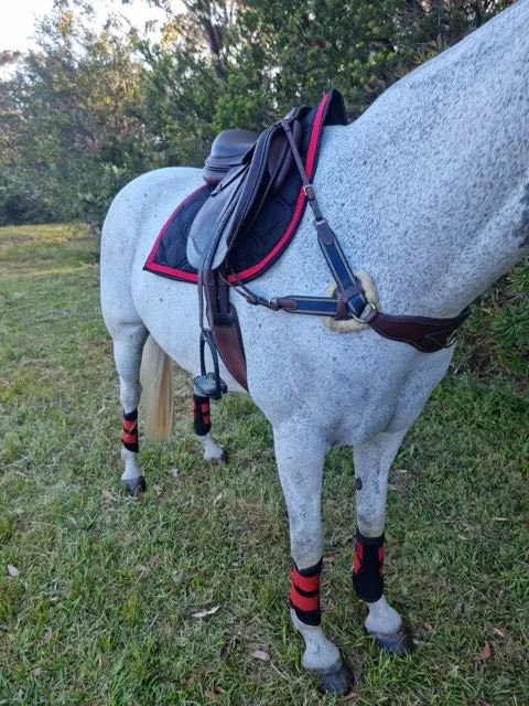 Ultimate Cross Country Set