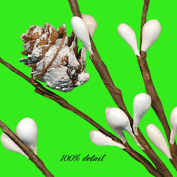 Winter Berry Branches