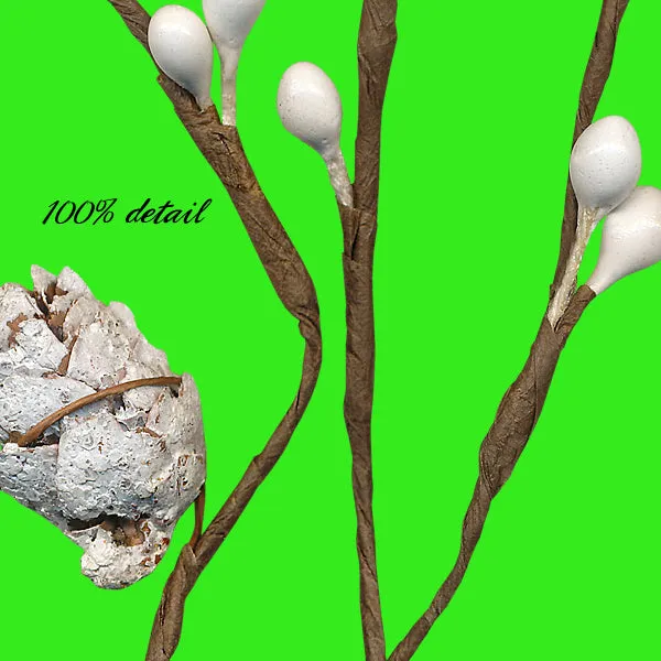 Winter Berry Branches