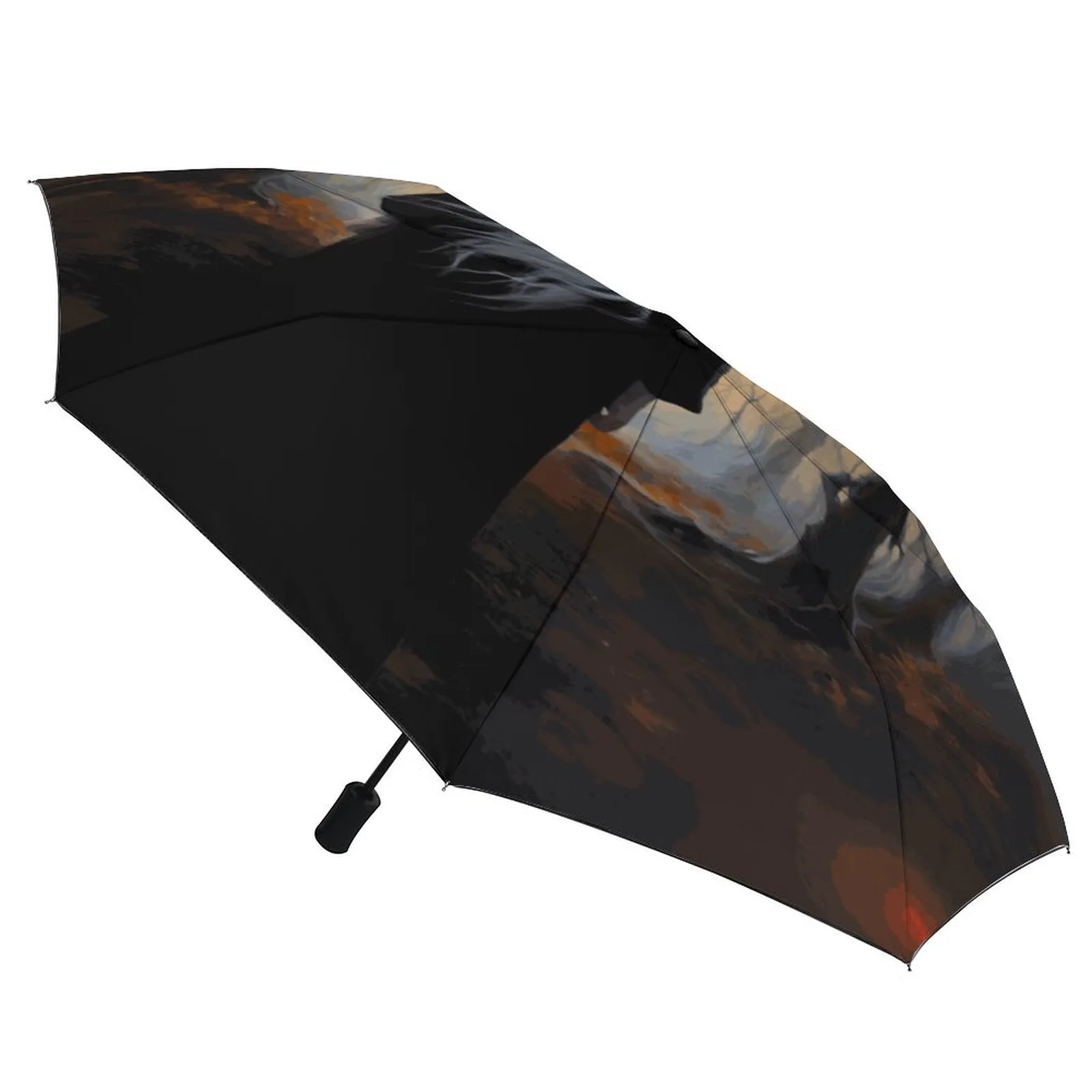 Wispi Witch Auto Umbrella with Printed Pattern Outside ZYS03-8K