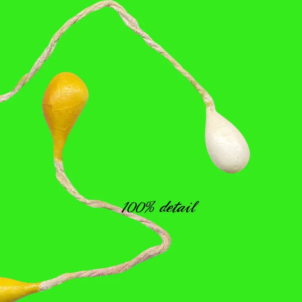 Yellow Pip Berries