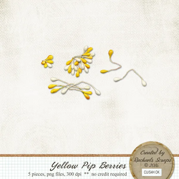 Yellow Pip Berries