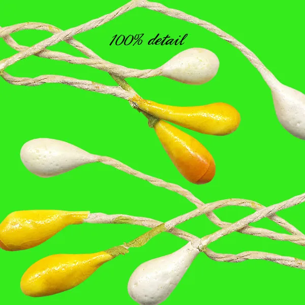 Yellow Pip Berries