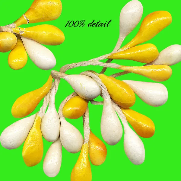 Yellow Pip Berries