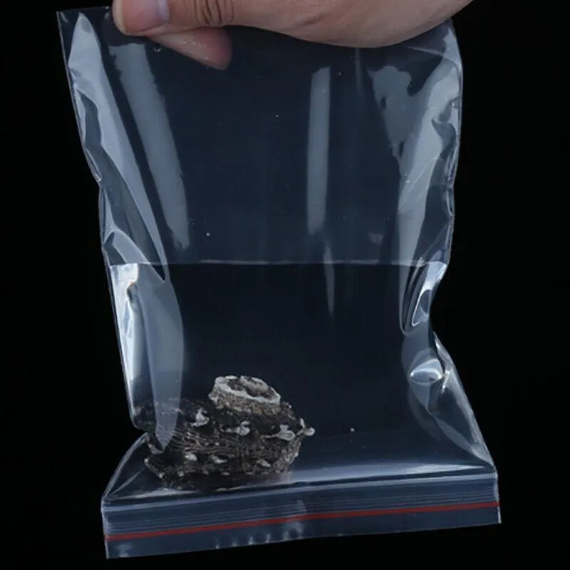 Ziplock Bags 100PCS 20Sizes Plastic Clear
